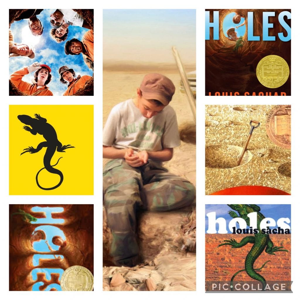 HOLES by LOUIS SACHAR: BOOK REVIEWS from 6th Class Room 22 « Sallins  National School